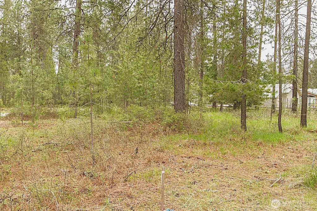 202 Eagle Drive Chewelah WA 99109