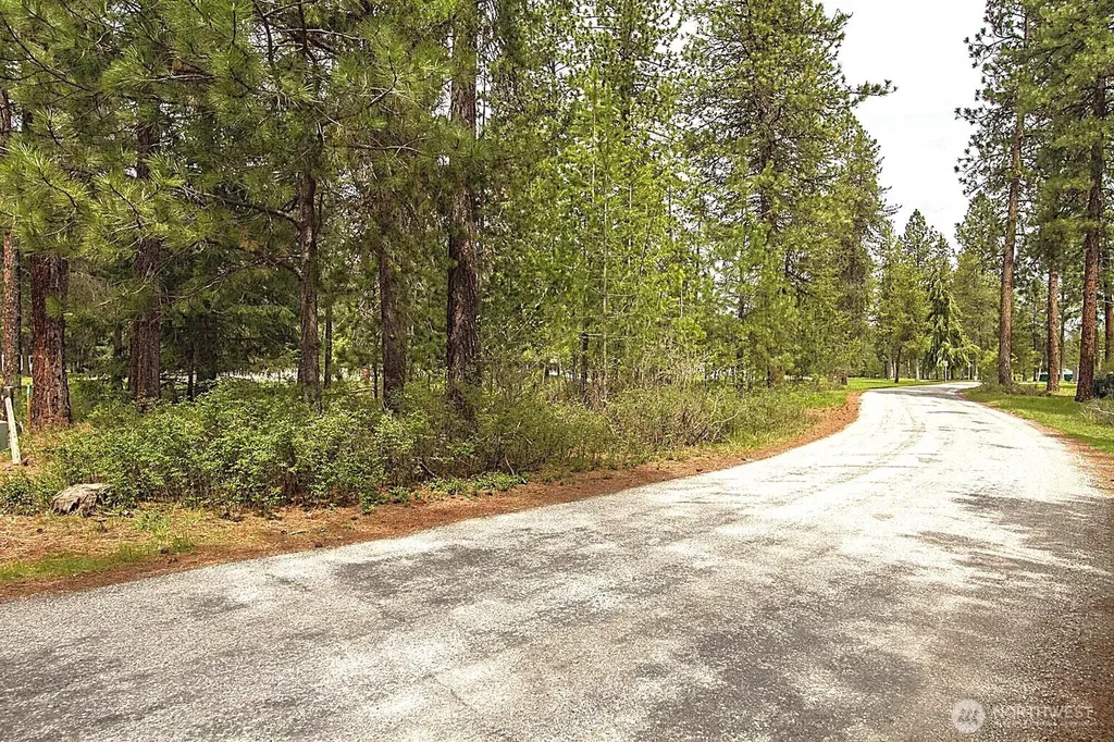 202 Eagle Drive Chewelah WA 99109