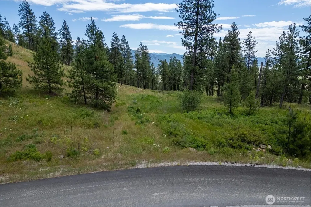 1612 Palmer Loop Chewelah WA 99109