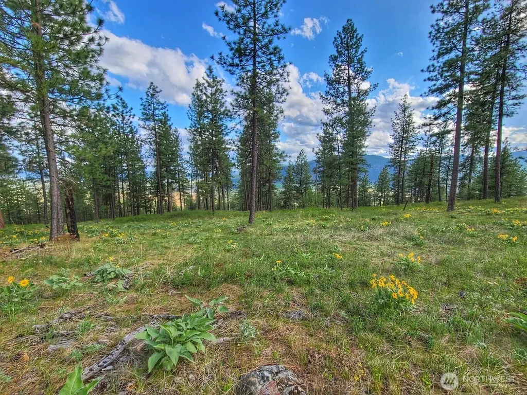 1612 Palmer Loop Chewelah WA 99109
