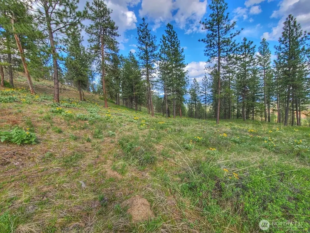 1612 Palmer Loop Chewelah WA 99109