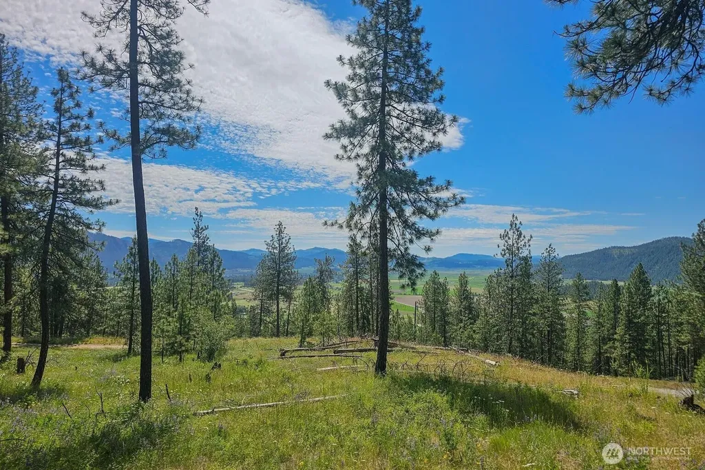 1612 Palmer Loop Chewelah WA 99109