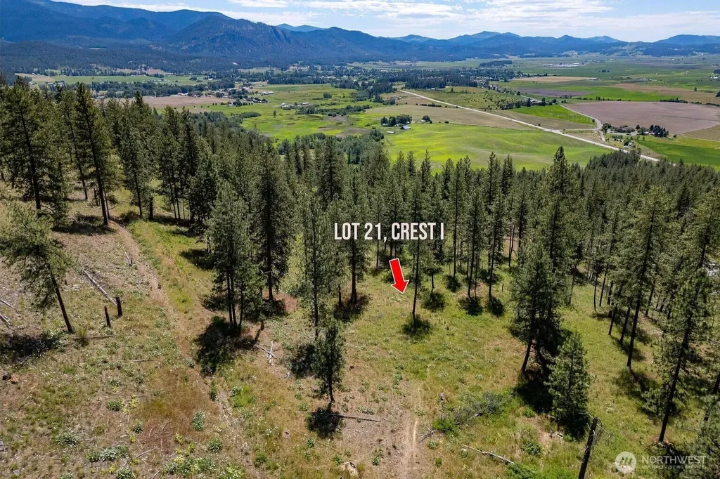 1612 Palmer Loop Chewelah WA 99109