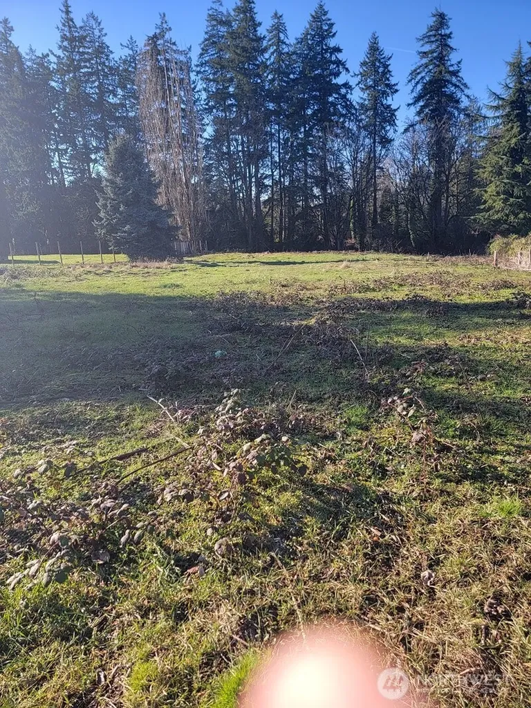 229 100th Ave S Kent WA 98031