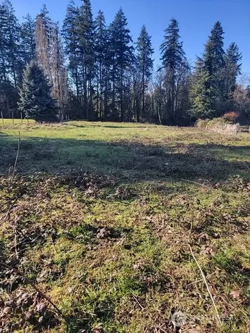 229 100th Ave S Kent WA 98031