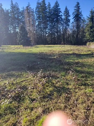 229 100th Ave S Kent WA 98031