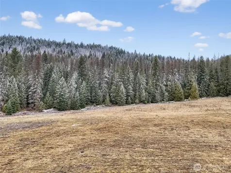 3016 Deep Lake North Shore Way Colville WA 99114