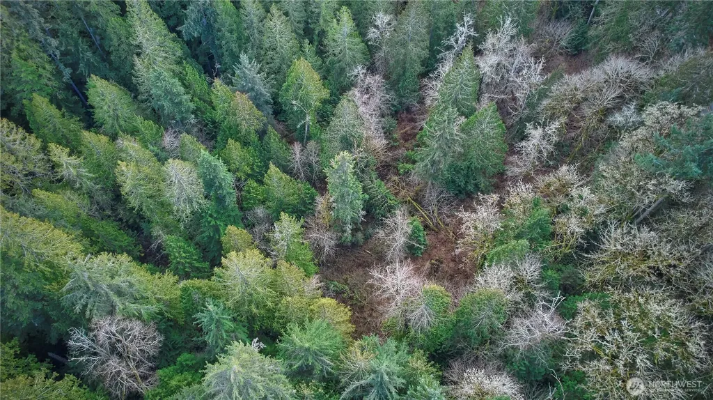 63 NW Anderson Hill Road Silverdale WA 98383