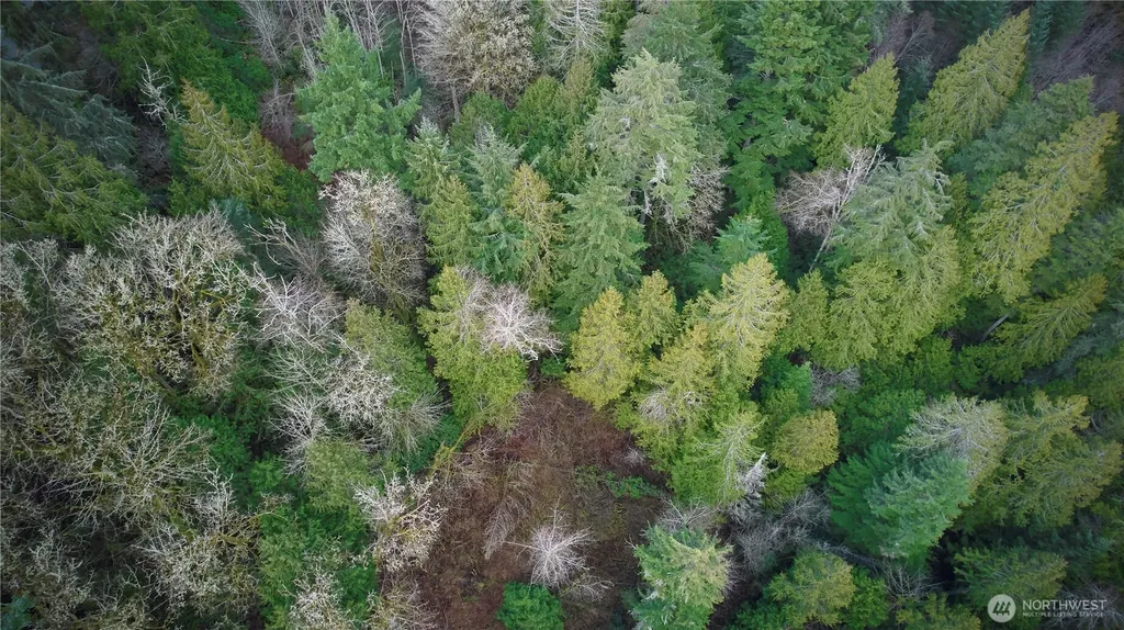 63 NW Anderson Hill Road Silverdale WA 98383