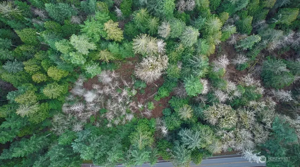 63 NW Anderson Hill Road Silverdale WA 98383