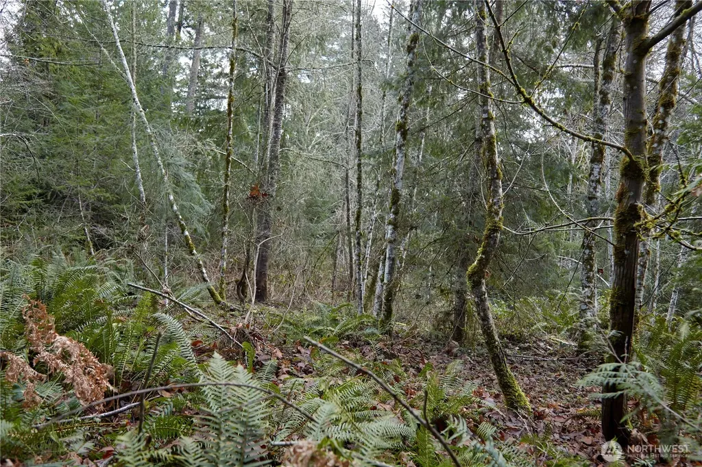 63 NW Anderson Hill Road Silverdale WA 98383