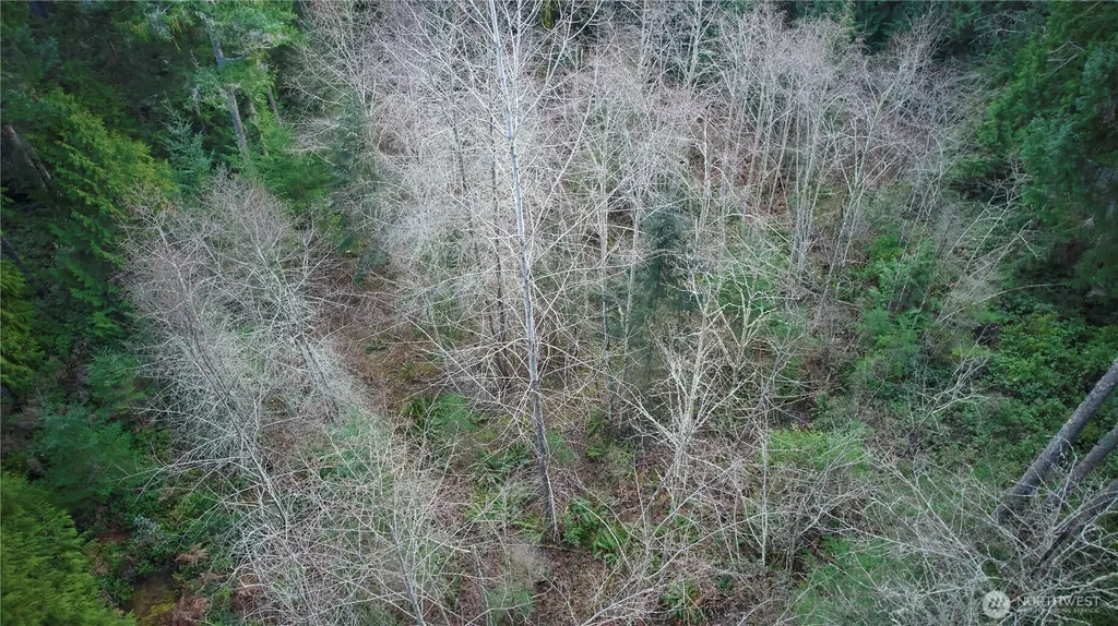 63 NW Anderson Hill Road Silverdale WA 98383