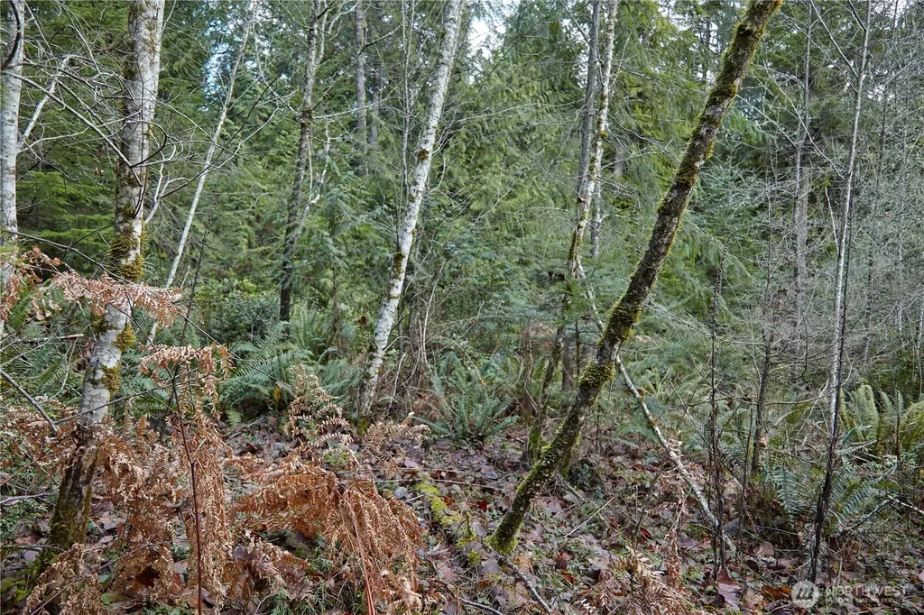 63 NW Anderson Hill Road Silverdale WA 98383