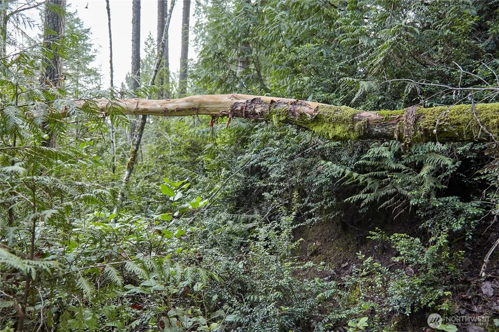 63 NW Anderson Hill Road Silverdale WA 98383