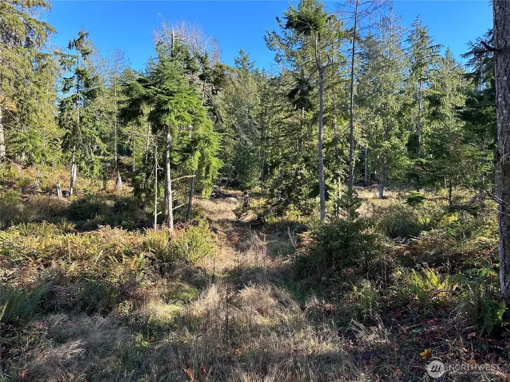 4 Lilypad Place E Port Orchard WA 98366
