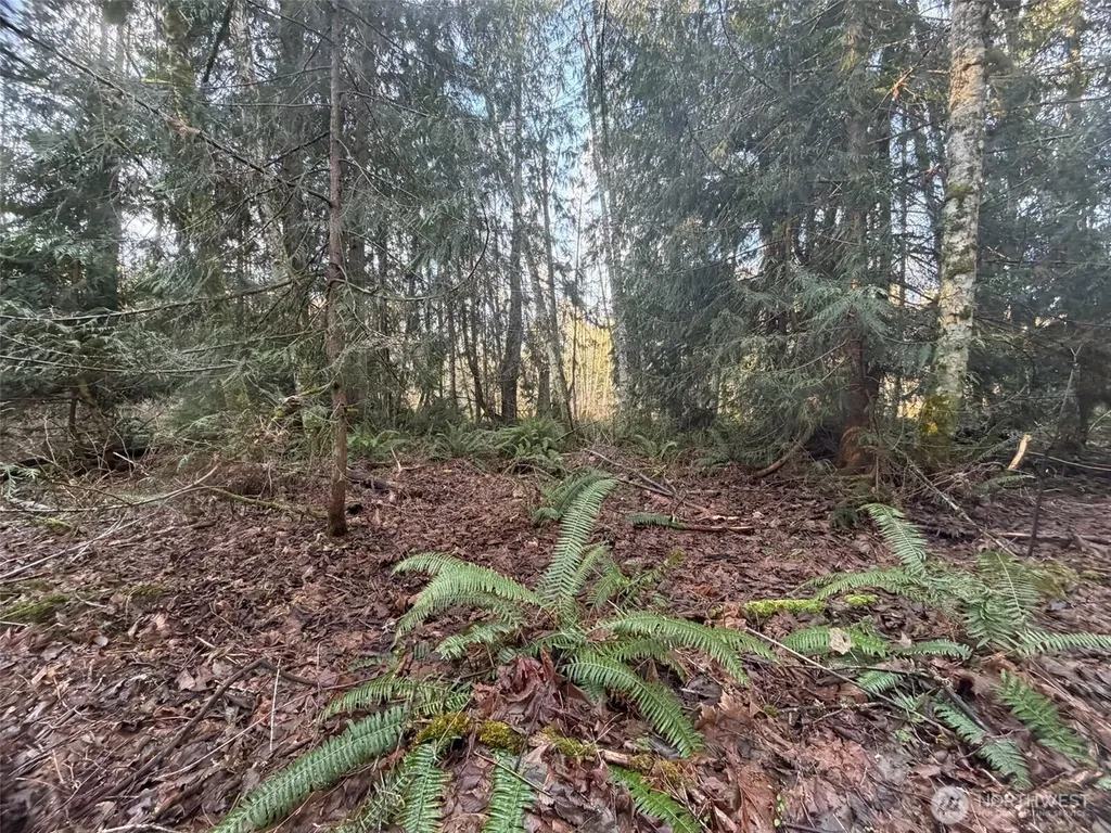 400 House Place Camano Island WA 98282