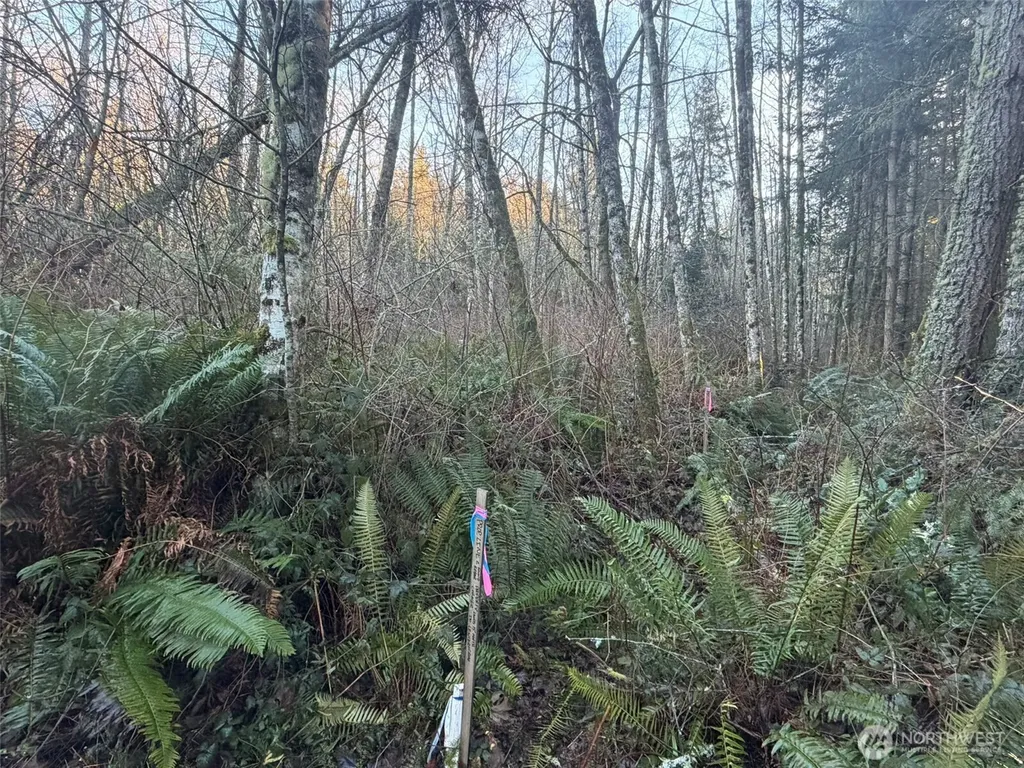 400 House Place Camano Island WA 98282