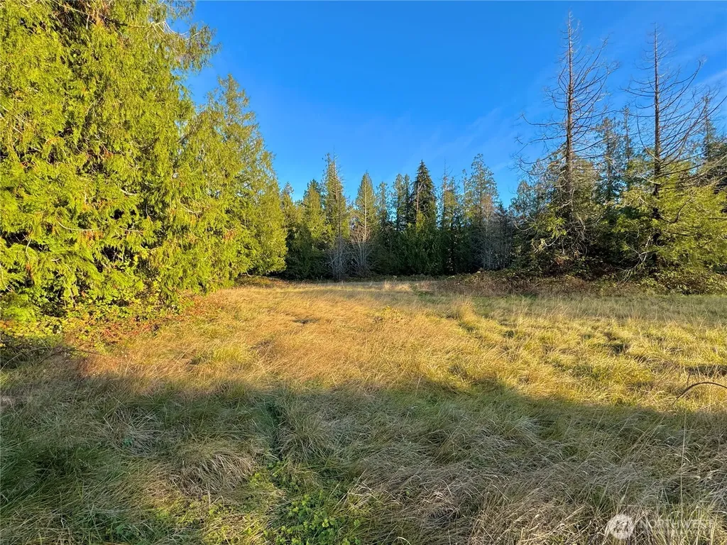 25 NE Roy Boad Road Belfair WA 98528