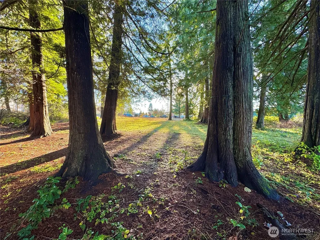 25 NE Roy Boad Road Belfair WA 98528