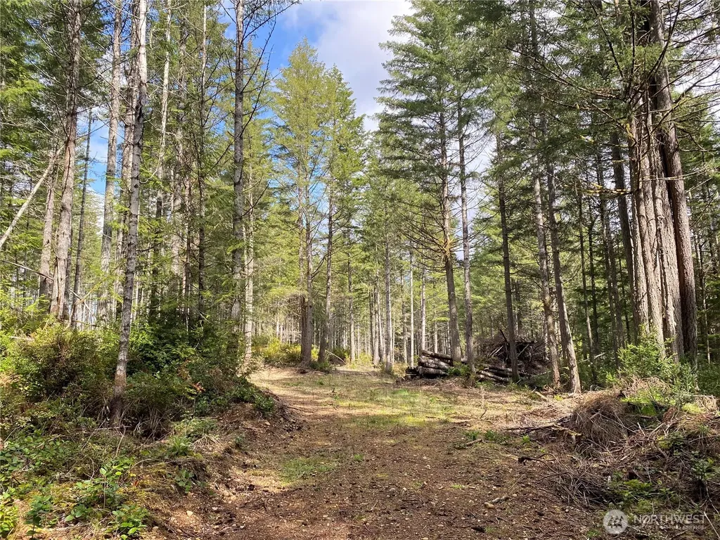 0 E Mason Lake Road Grapeview WA 98546