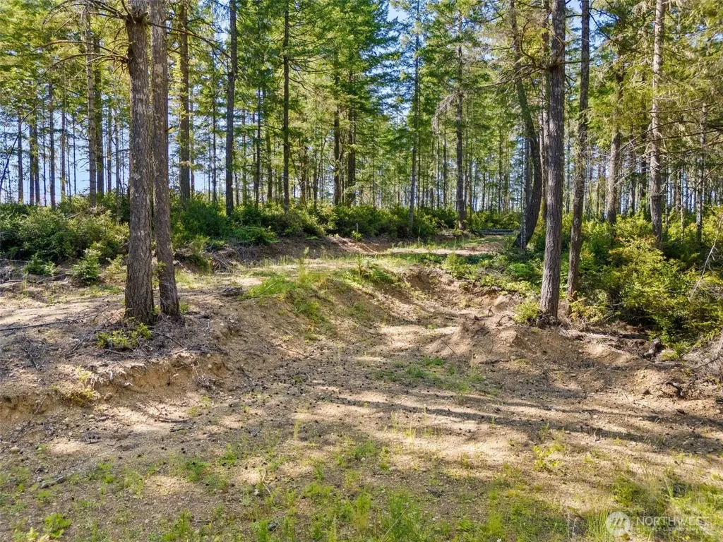 0 E Mason Lake Road Grapeview WA 98546