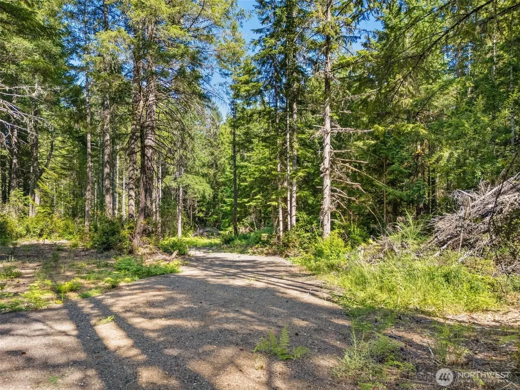 0 E Mason Lake Road Grapeview WA 98546