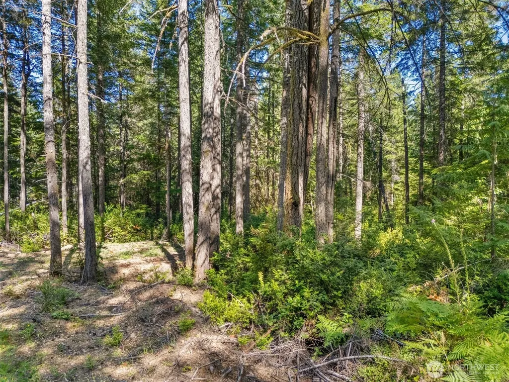 0 E Mason Lake Road Grapeview WA 98546