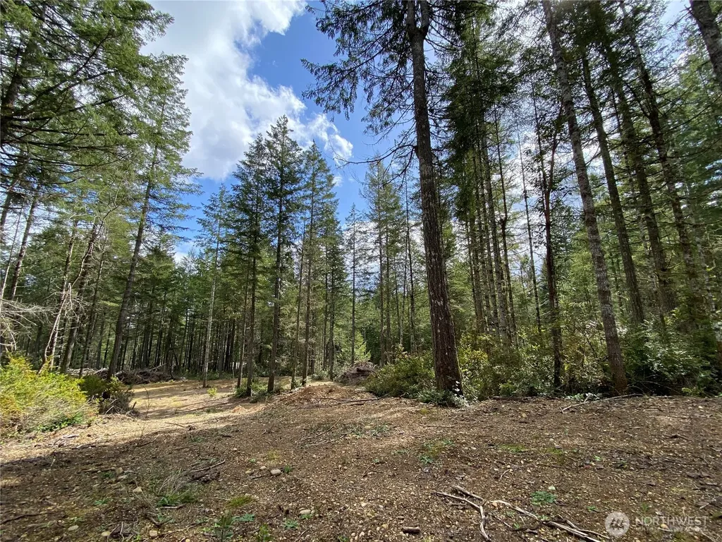0 E Mason Lake Road Grapeview WA 98546