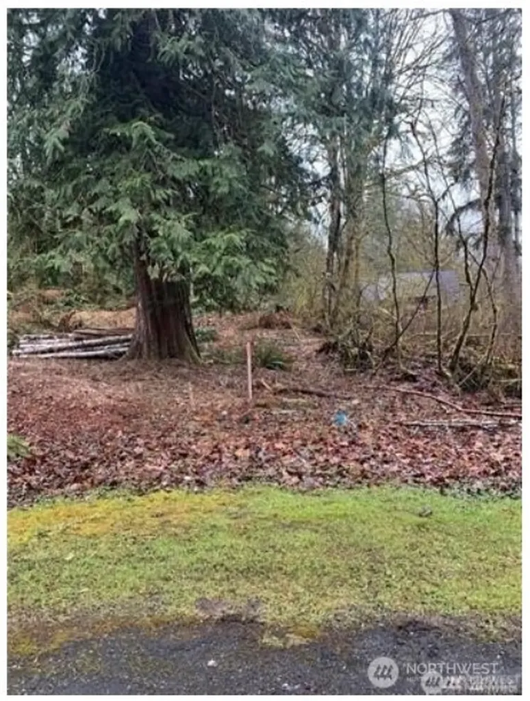 16007 Shuksan Rim Drive Deming WA 98244