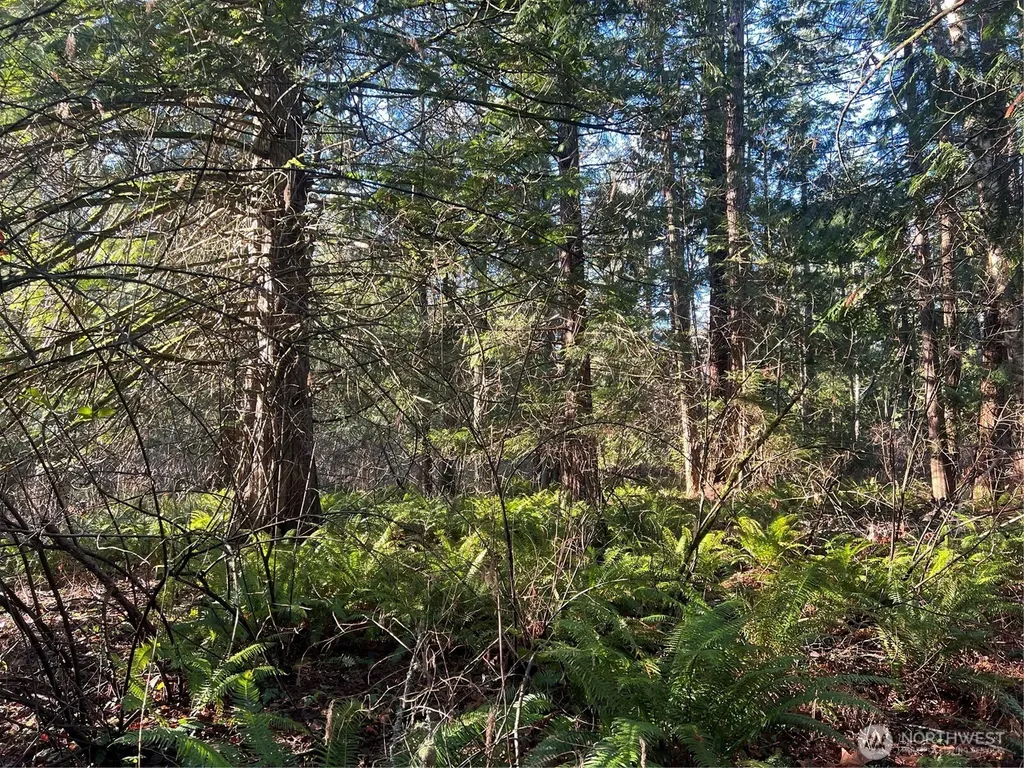 0 Tyee Drive Point Roberts WA 98281