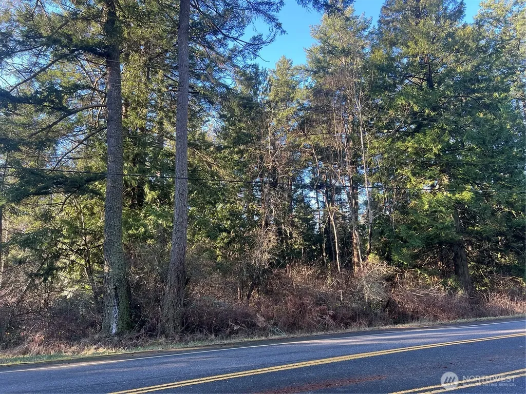 0 Tyee Drive Point Roberts WA 98281
