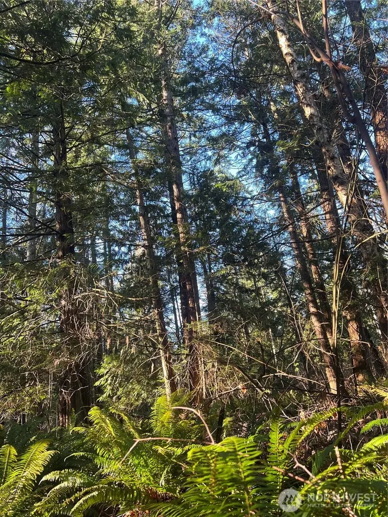 0 Tyee Drive Point Roberts WA 98281