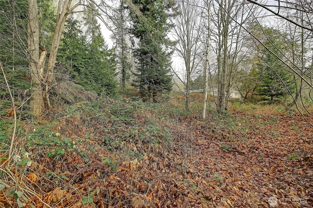 0 S Camano Drive Camano Island WA 98282