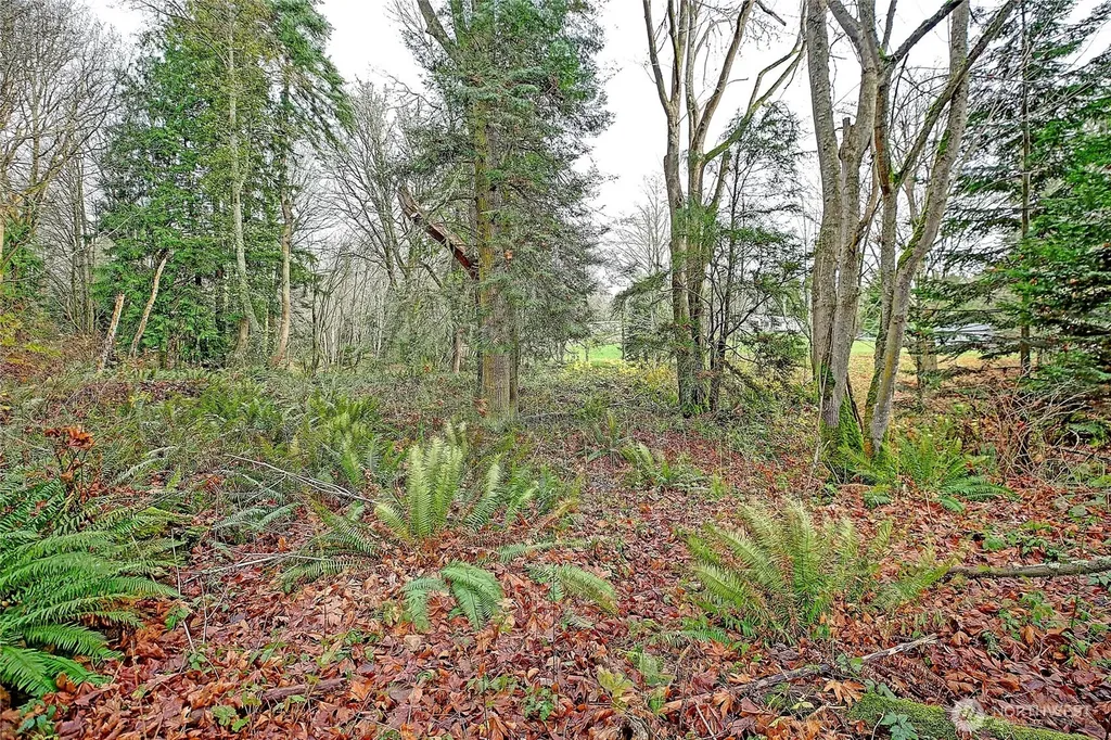 0 S Camano Drive Camano Island WA 98282
