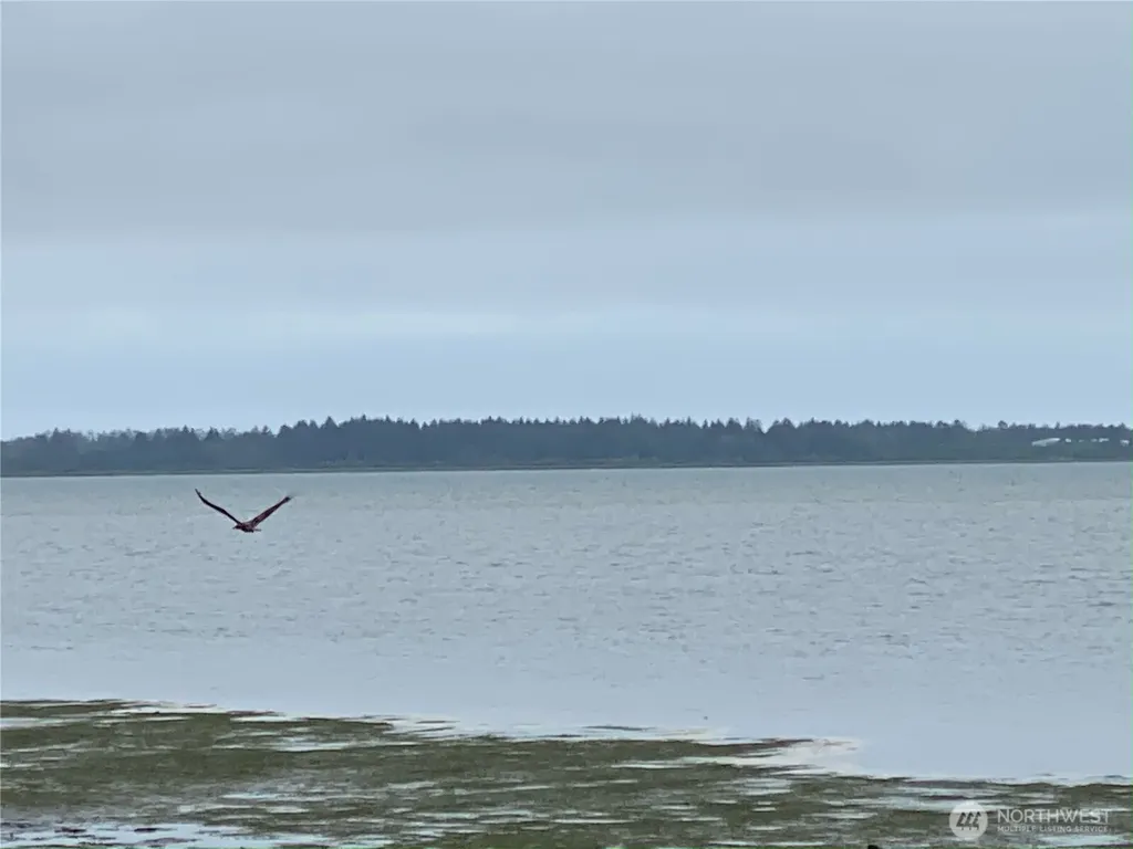 1970 State Route 105 Aberdeen WA 98520