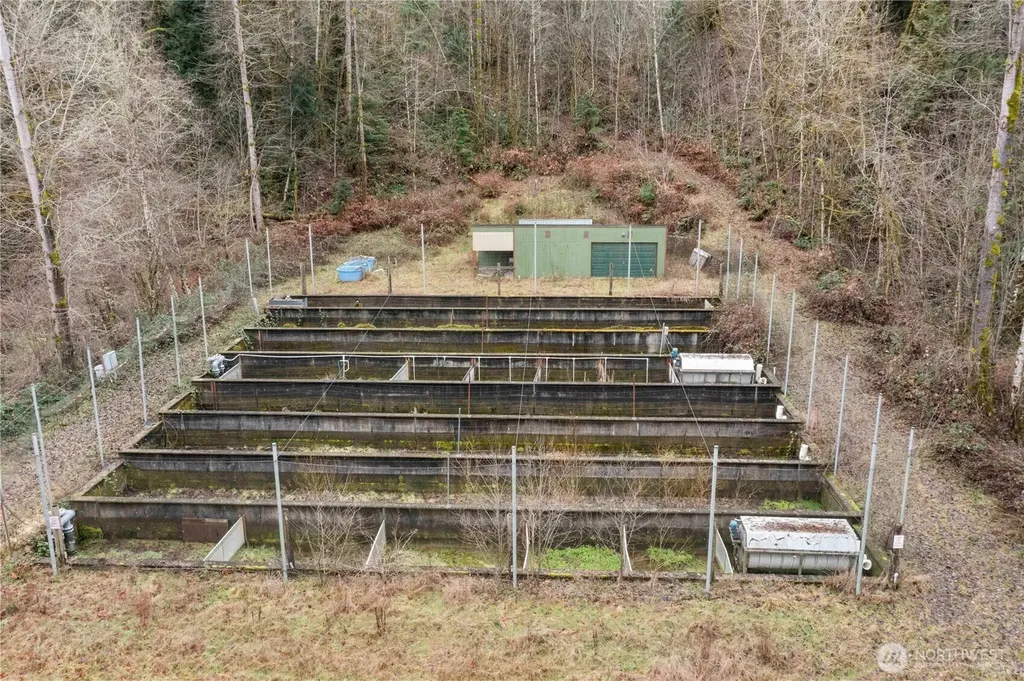 17612 219th Avenue E Orting WA 98360
