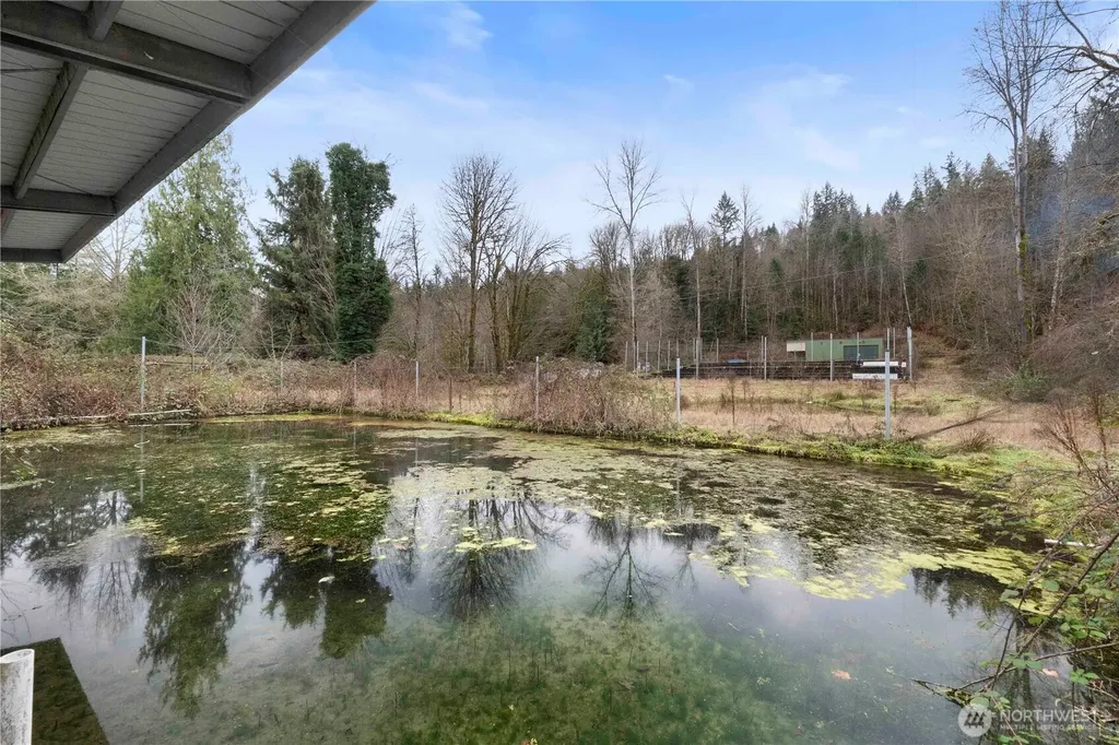 17612 219th Avenue E Orting WA 98360
