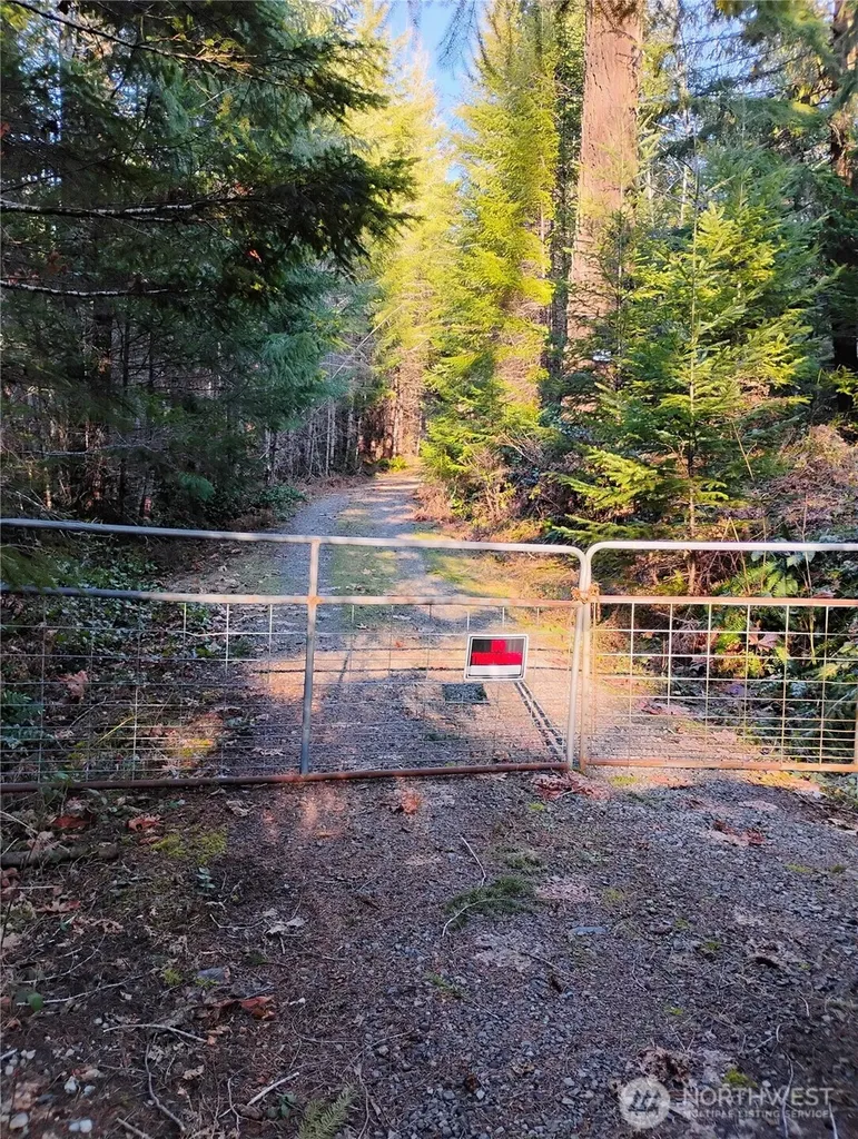 0 Skate Creek Rd S Packwood WA 98361