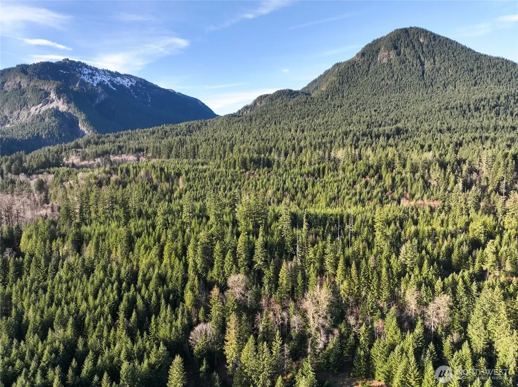0 Skate Creek Rd S Packwood WA 98361