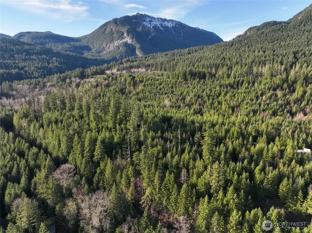 0 Skate Creek Rd S Packwood WA 98361