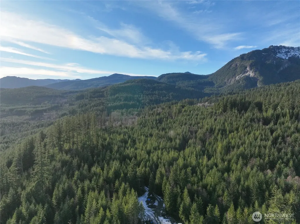 0 Skate Creek Rd S Packwood WA 98361