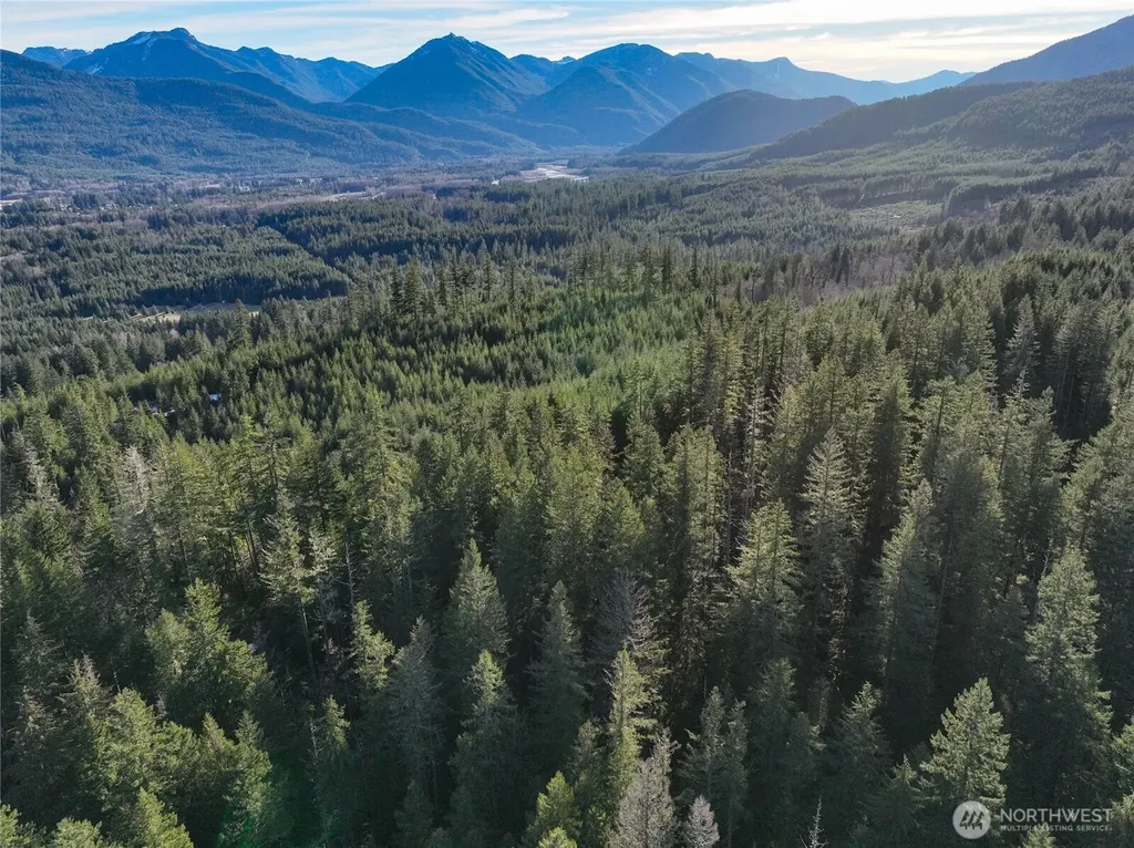 0 Skate Creek Rd S Packwood WA 98361