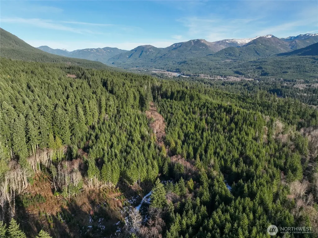 0 Skate Creek Rd S Packwood WA 98361