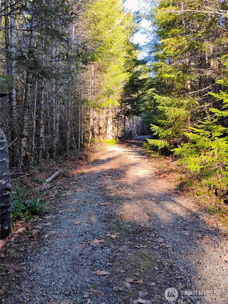 0 Skate Creek Rd S Packwood WA 98361