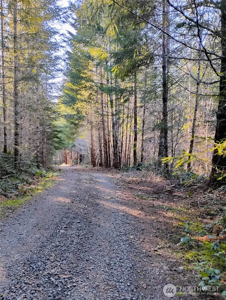 0 Skate Creek Rd S Packwood WA 98361