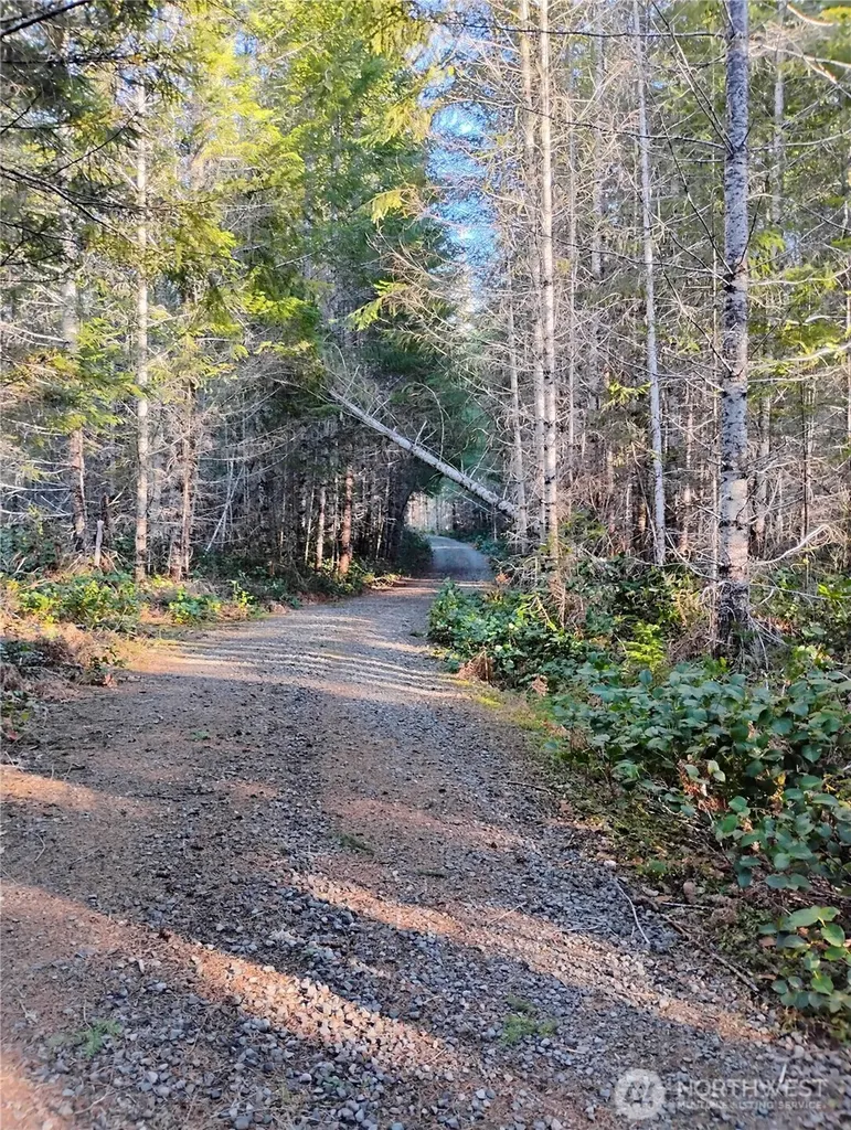 0 Skate Creek Rd S Packwood WA 98361