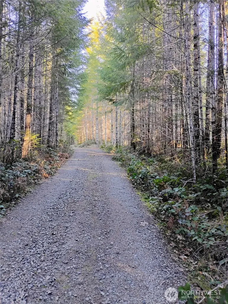 0 Skate Creek Rd S Packwood WA 98361