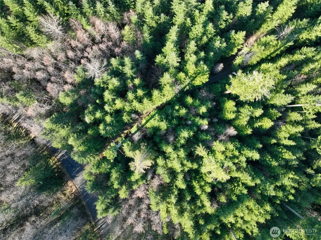 0 Skate Creek Rd S Packwood WA 98361