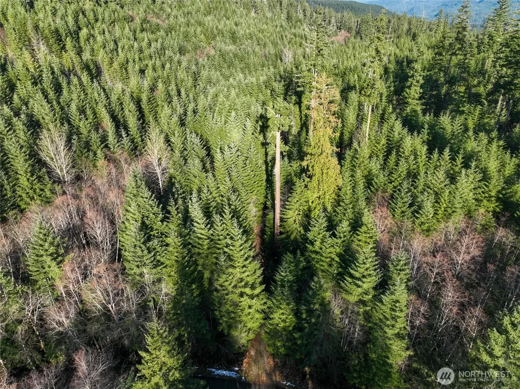 0 Skate Creek Rd S Packwood WA 98361