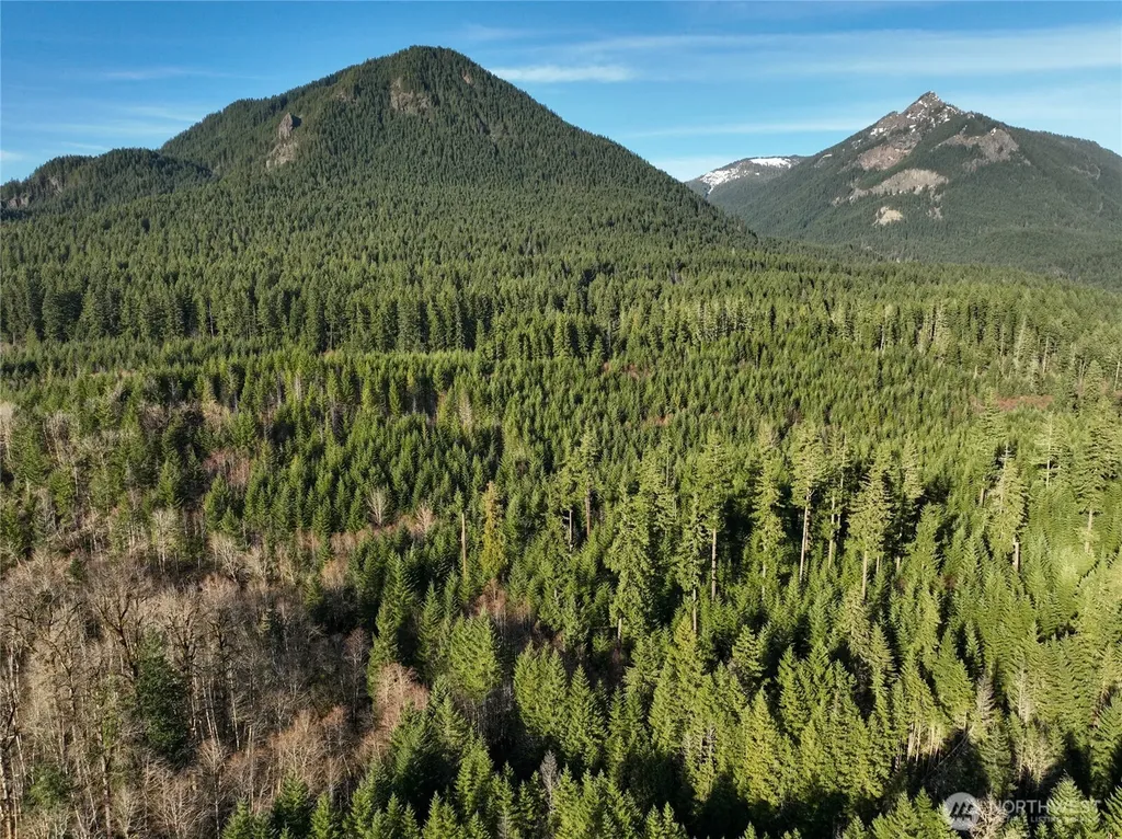 0 Skate Creek Rd S Packwood WA 98361